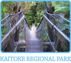 Kaitoke Regional Park